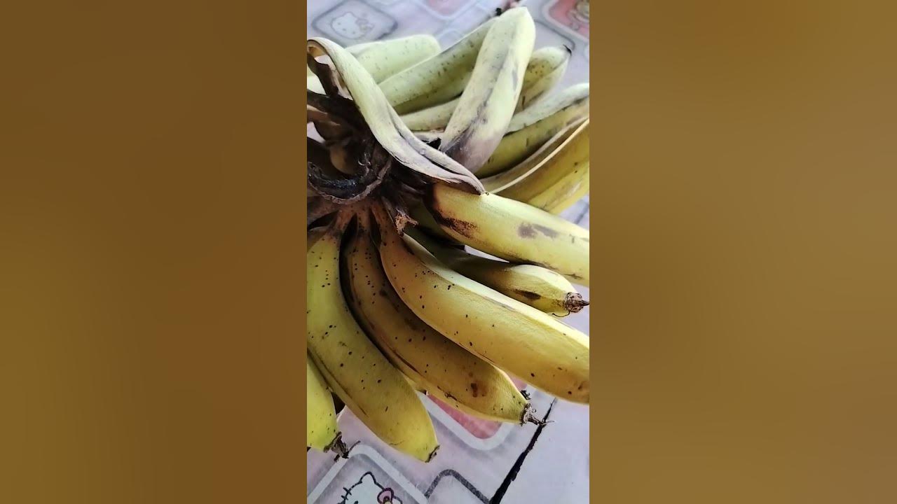 banana-is-good-for-health-shortvideo-shorts-short-youtube