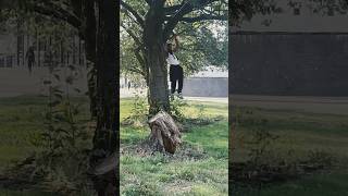 Just Released Maybe And He’s Doing Pull Ups From A Tree #Jailtales #Crime #Prison