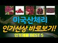 미국산체리 추천, 최신 인기제품~! 가성비 TOP5
