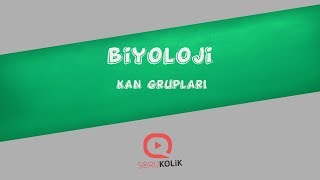 Download Yks Biyoloji Kan Grupları Video MP3 Yks Biyoloji Kan Grupları