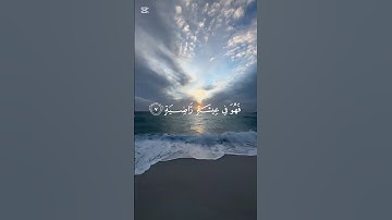 سورة القارعة 🤍 #اكسبلور #المصحف #لايك #سورة_القارعة #ياسر_الدوسري