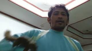 cara membuat tupai liar jadi jinak,lengket kayak perangko.