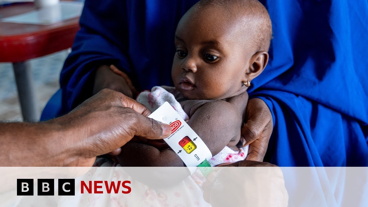 Aid cuts will push Nigerians into arms of Boko Haram militants, UN warns | BBC News Aid cuts will push Nigerians into arms of Boko Haram militants, UN warns | BBC News