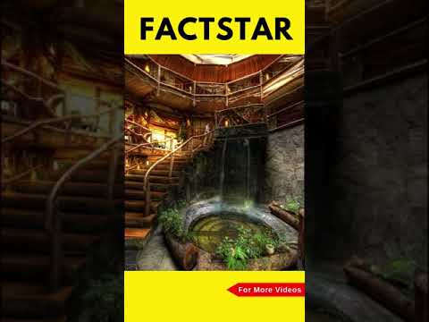 Adventure Fact By Tranding Fact