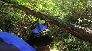 EN CAN AM POR SAN PANALEON DE ARAS.CANTABRIA