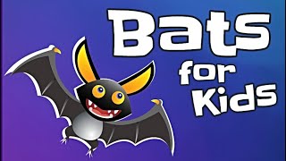 Bats for Kids