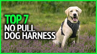 Best No Pull Dog Harness 2021 | Top 7 No Pull Dog Harness Review
