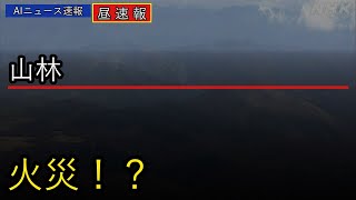 【速報】岩手県大槌町の山林火災#Shorts