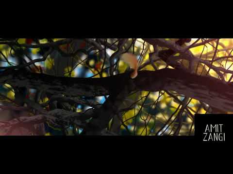 Dolby Atmos - Binaural Audio Mix - By Amit Zangi - Sample 4