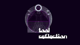 TOOL - Disposition/Reflection (Live) A432Hz