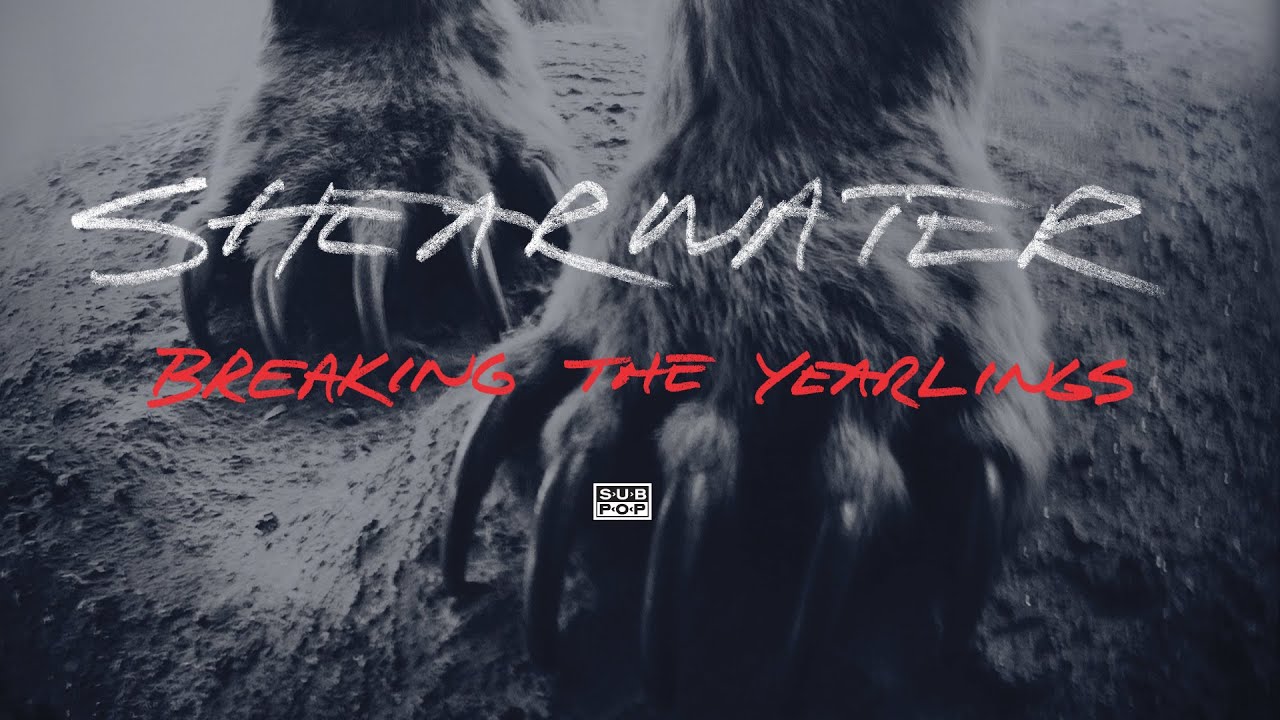 Watch Shearwater - Breaking the Yearlings on YouTube Watch Shearwater - Breaking the Yearlings on YouTube