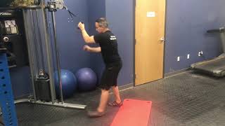 Cable One-arm High Angled Row: Drop-set