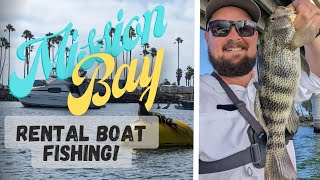 Mission Bay Fishing - Boat Rental Plan B After Cancelled Tuna Trip by Road and Reel 586 views 8 months ago 17 minutes
