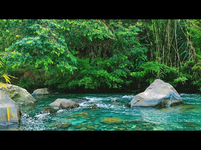 Pure Flowing River Sounds 🍃 White Noise for Deep Sleep