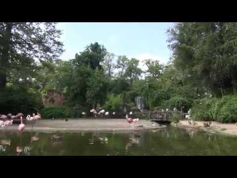 Видеоролик: Зоопарк в Ганновере