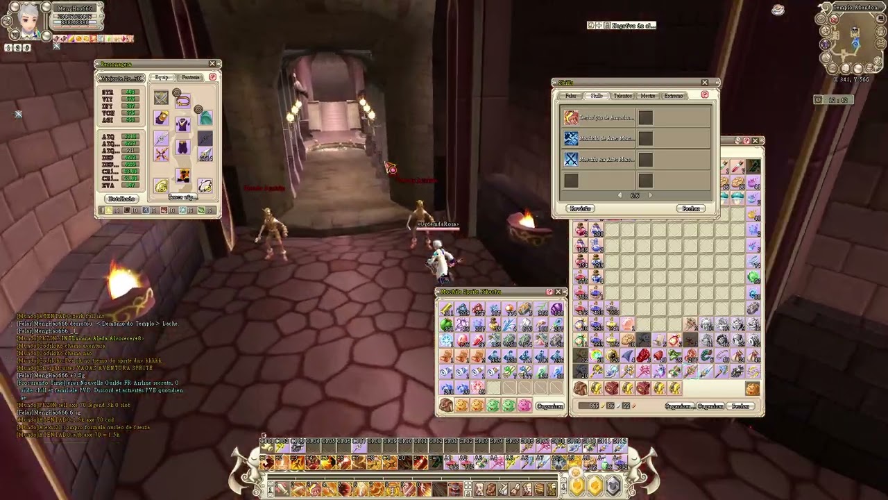 Bugged skill stone in the new class