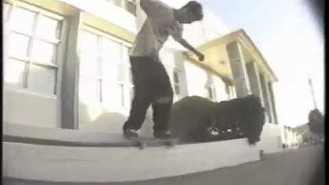 Scott Johnston - Penal Code 100A