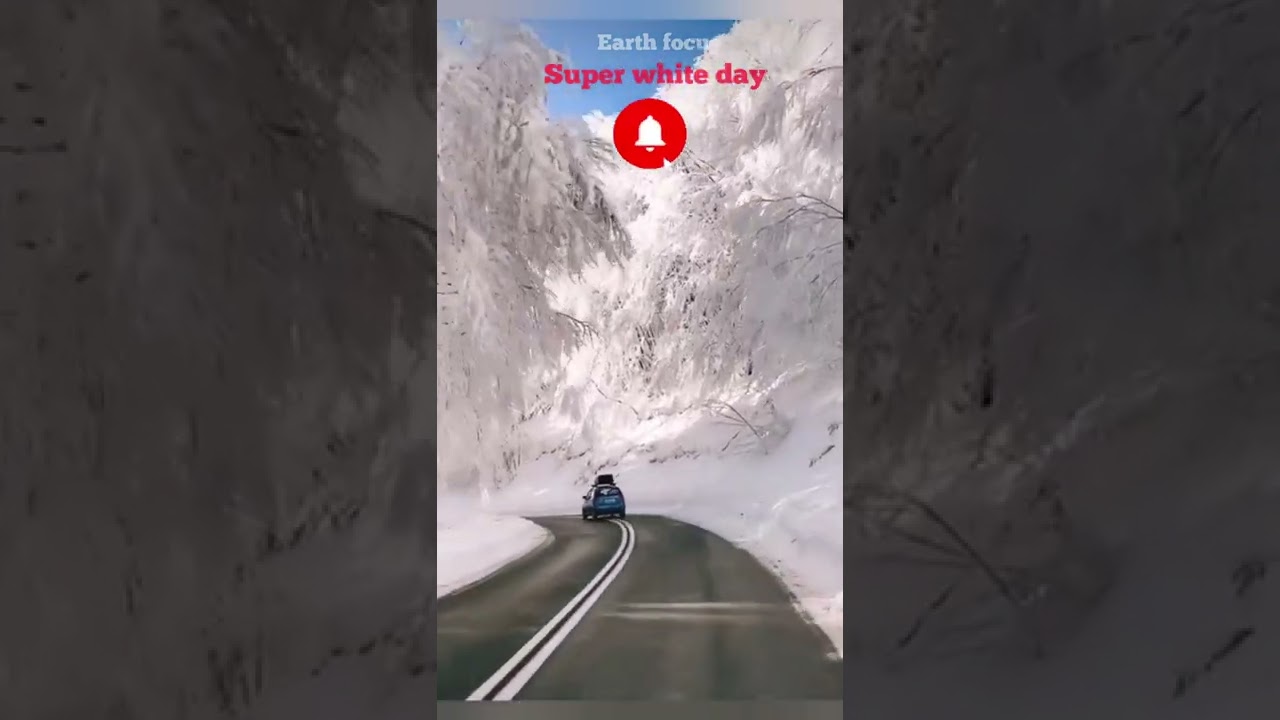 Would you drive through this snowed road #shorts #travel #shortvideo #short #india #subscribe #like