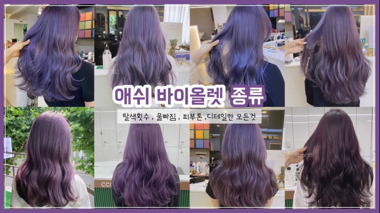 [수빈쌤 추천 ]애쉬 그레이로 퇴색되는 애쉬바이올렛컬러의 모든것‼️ ( 바이올렛종류 , 물빠짐 , 퇴색과정 ,탈색횟수 ...