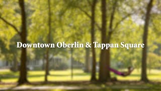 Oberlin College Virtual Tour: Downtown Oberlin and Tappan Square