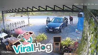 Forgotten Handbrake Allows Car to Roll into the Road || ViralHog