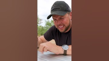 Thumbnail of Worst Scorpion Sting Ever?