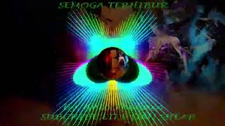 Disco House  Jadul Breaky Heart Exported 2023