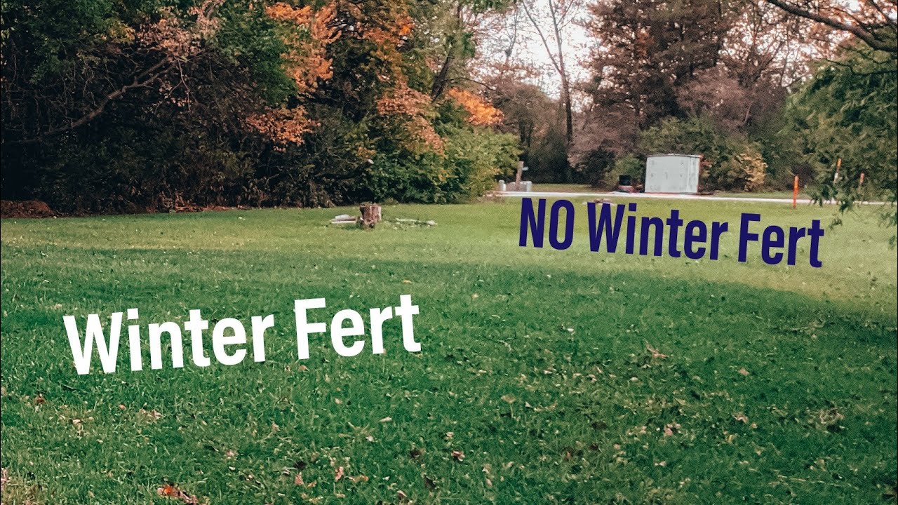 When Should I Apply Winterizer Fertilizer