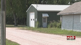 81 total chihuahuas, bulldogs taken from Renner home