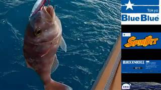 Slow Jigging Spin Bit BlueBlue Fishing