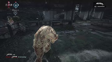 Gears of war 4 Shotgun only King of the hill Killing Spree Xbox One X Gameplay