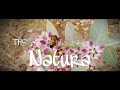 The natura  cinematic short film  nature manoj malviya