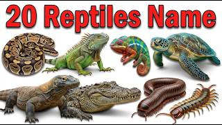 20 Reptiles Name in English | Learn Reptile Animals for Kids with Pictures Sounds | Animal Learning