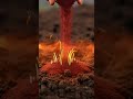 Magical Transformation ✨#shorts#magicaltransformation#visualfantasy#ai#aivideo