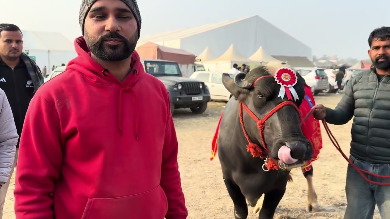 पंजाबन ने किया पहला स्थान हासिल 