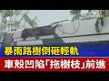 暴雨路樹倒砸輕軌 車殼凹陷「拖樹枝」前進