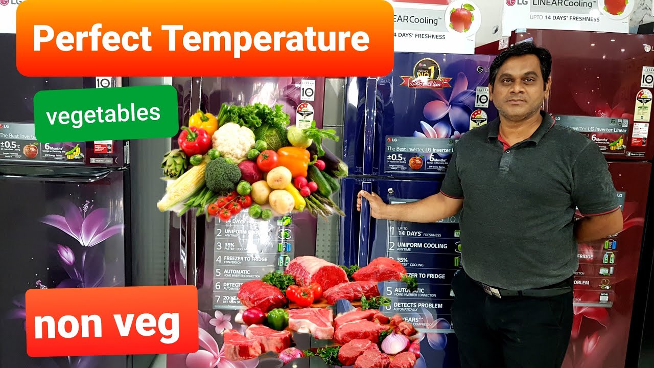 perfect temperature for meat/refrigerator temperature - YouTube