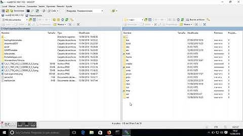 winscp