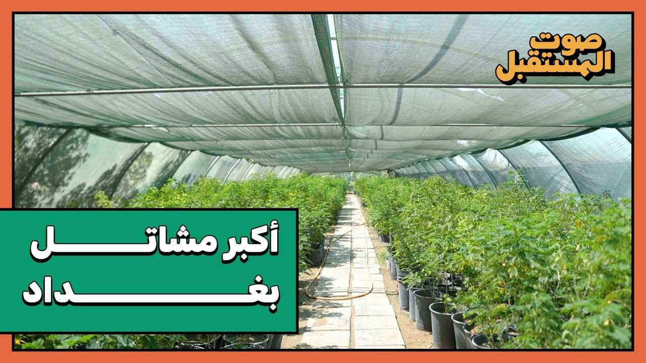 اكبر مشاتل بغداد