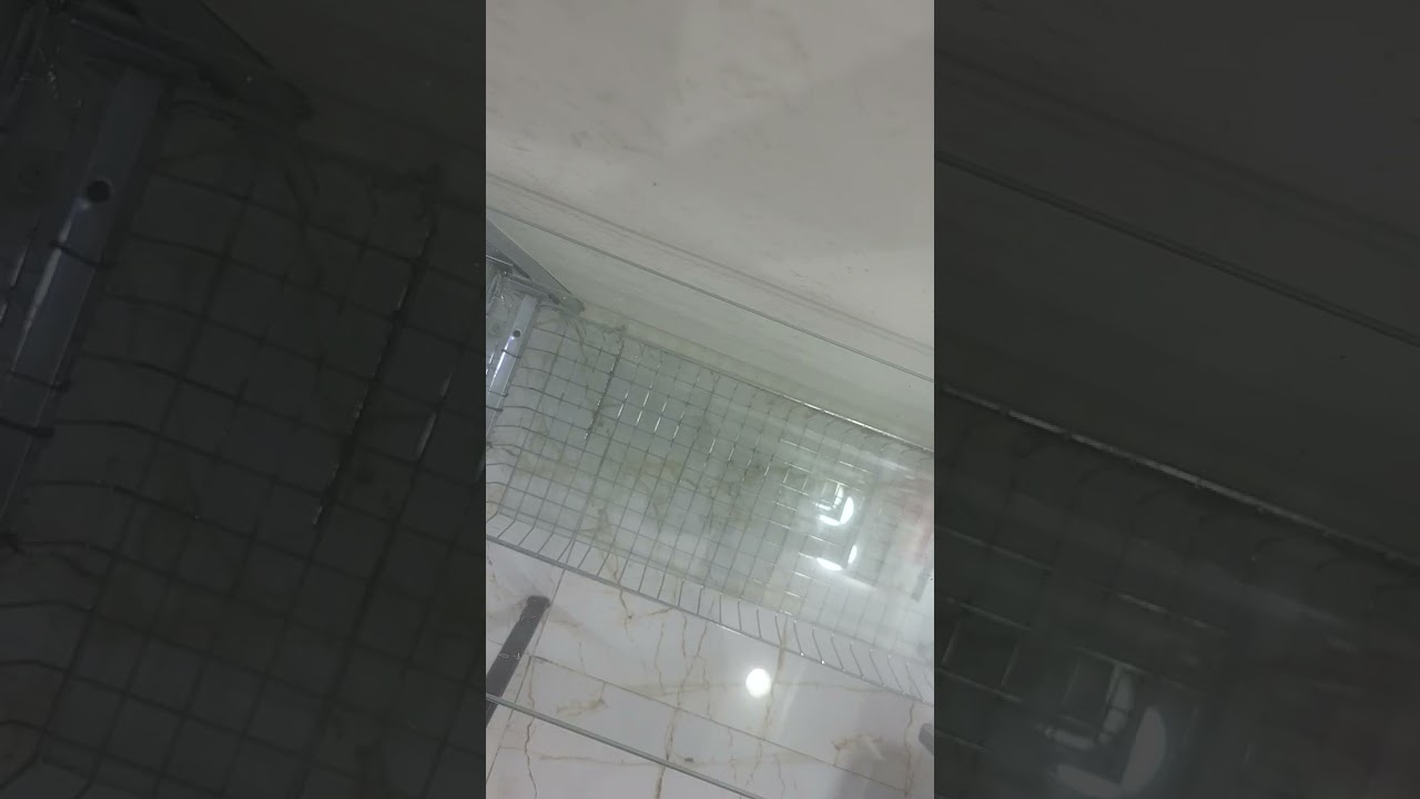 انا عجبني هد شون 