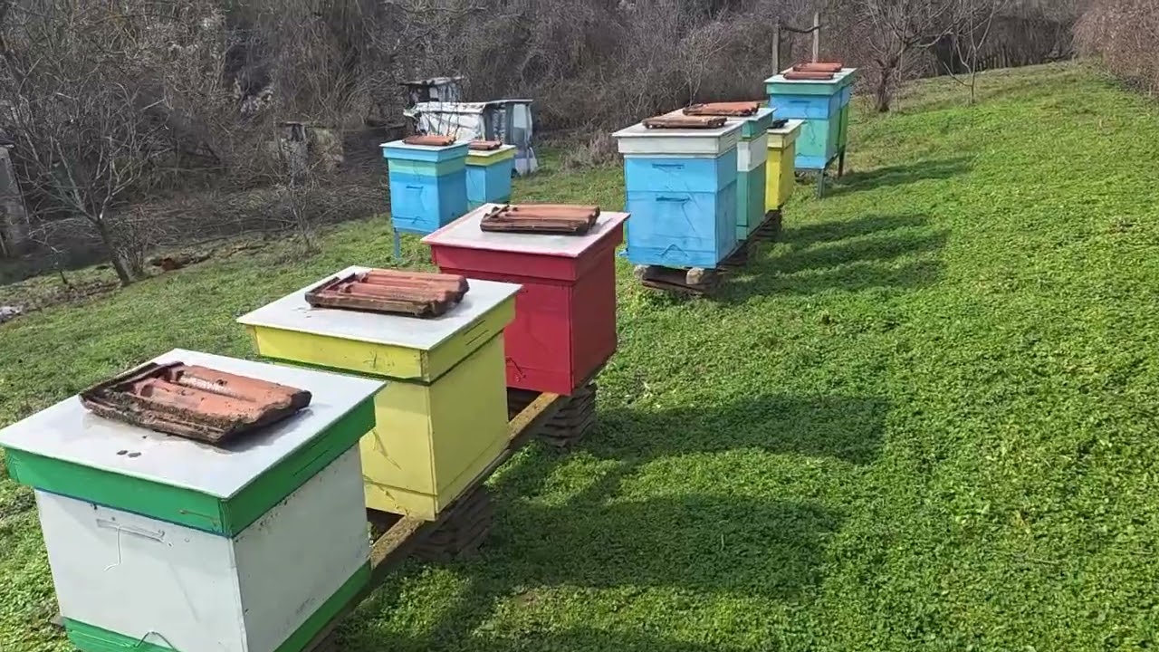 Здравейте отново! Завръщам се!