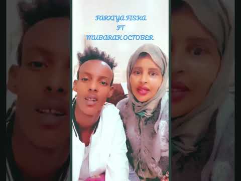 Farxiya Fiska Ninkeeda Hambalyo Diranyaan