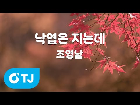 [TJ노래방] 낙엽은 지는데 - <strong>조영남</strong> / TJ Karaoke