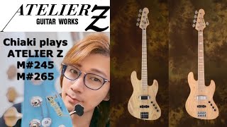 AtelierZ — AtelierZ guitar works