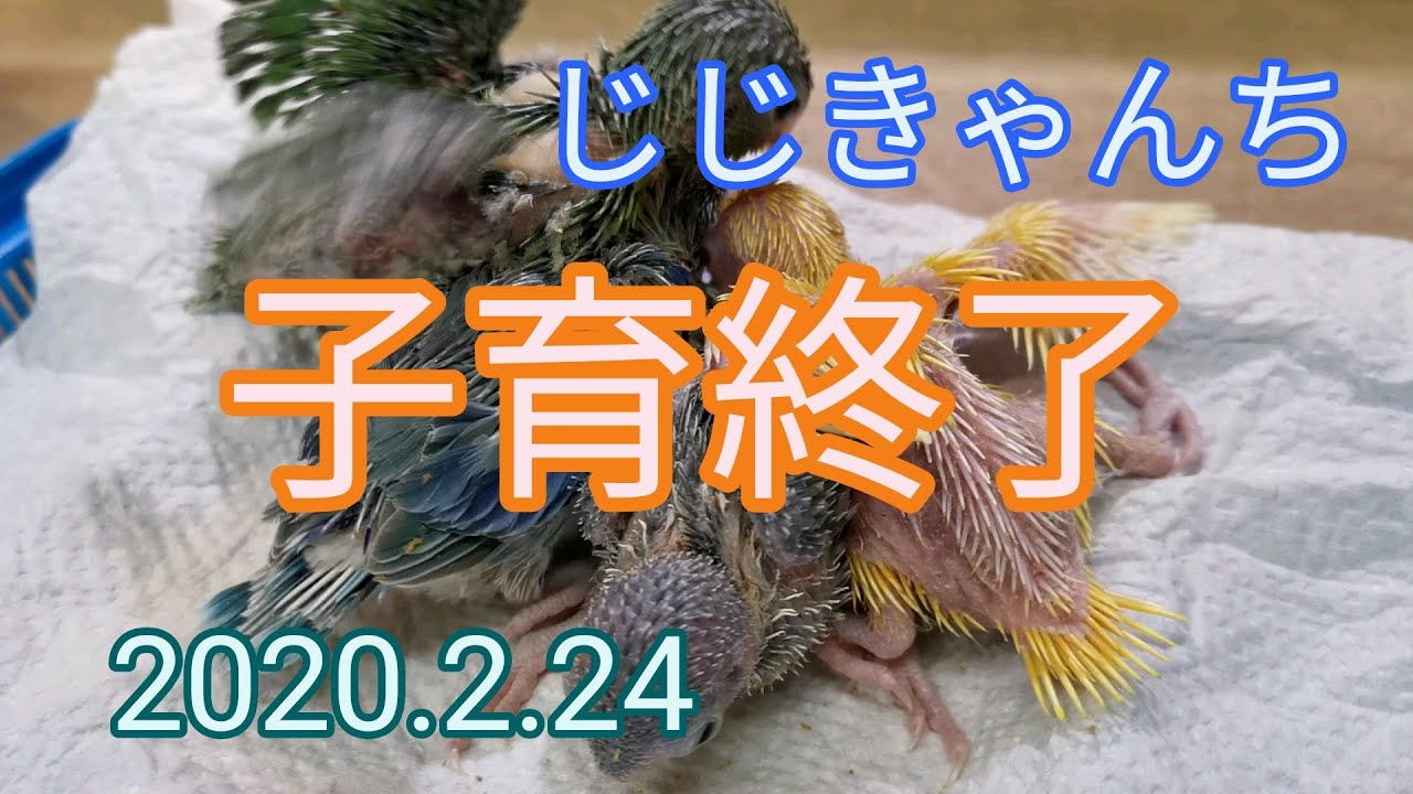 ２５日になっちゃた🐣💦