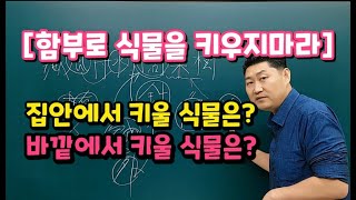 [함부로 식물을 키우지마라] 집안에서 키울 식물은? 바깥에서 키울 식물은?