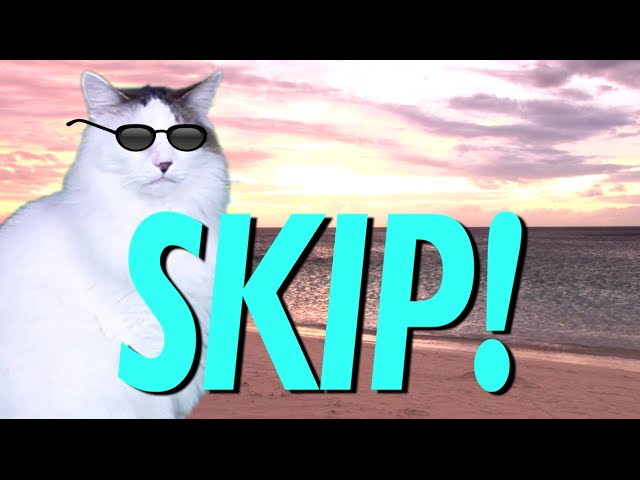 HAPPY BIRTHDAY SKIP! - EPIC CAT Happy Birthday Song