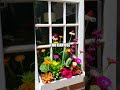 Upcycling Old Windows into Garden Planters