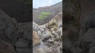 ECOTURISMO OAXACA San Baltazar Guelavila. Las Salinas #Oaxaca