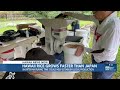 New study explores reviving rice production in Hawaii